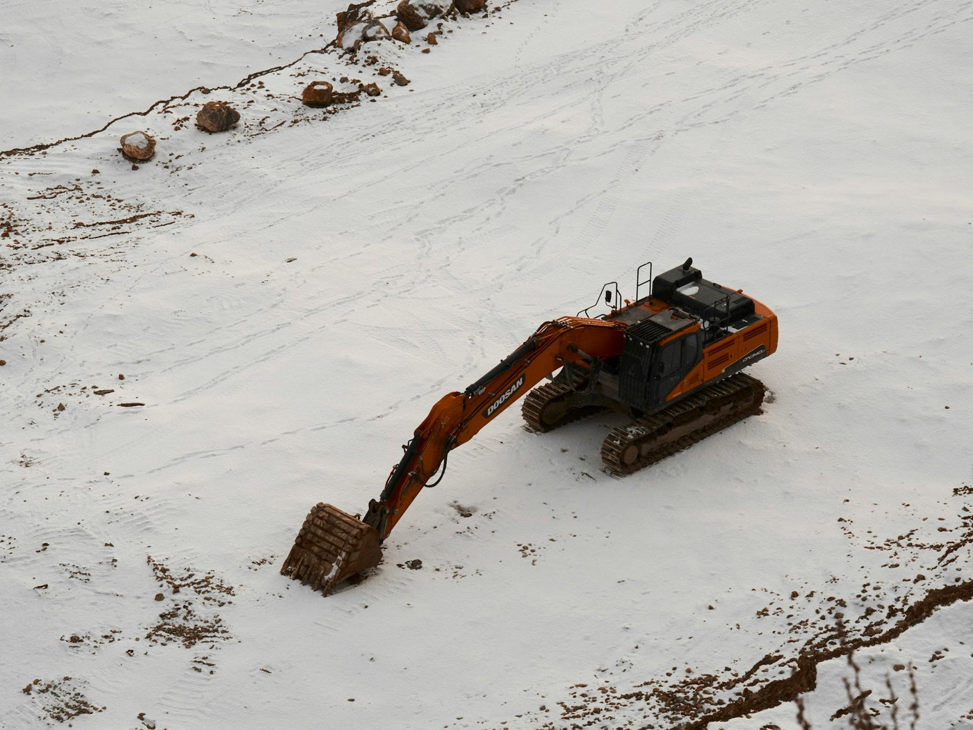DCC: jong, fris en ambitieus