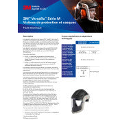 3M ™ Standard Vizier FF-600F-925-5 pro Box | 1 Übertreibung von 5 Stück